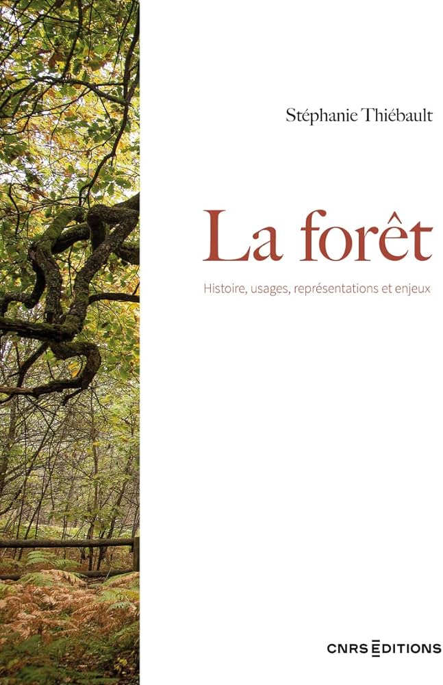 La forêt
