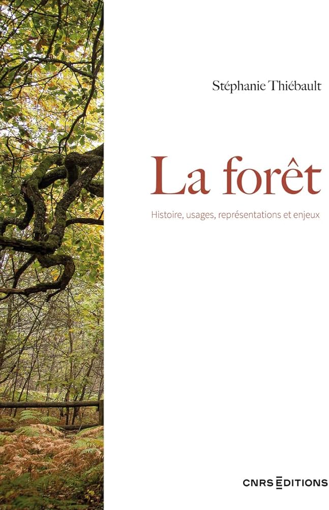 La forêt