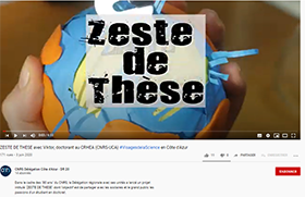 Zeste de thèse