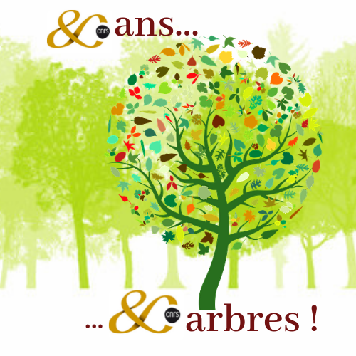 80 ans, 80 arbres